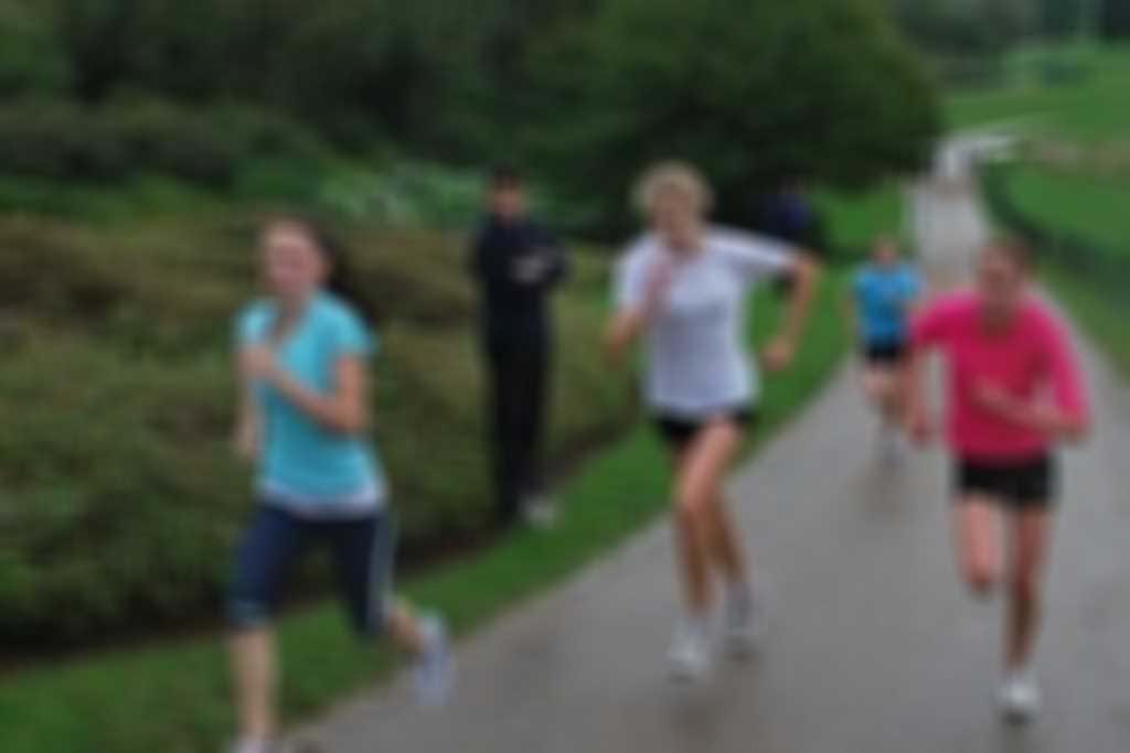 Training_image.jpg blurred out