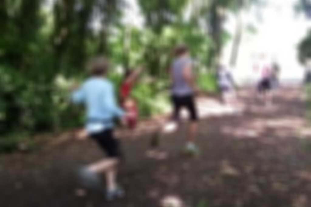 Zombie_Attack_04.jpg blurred out