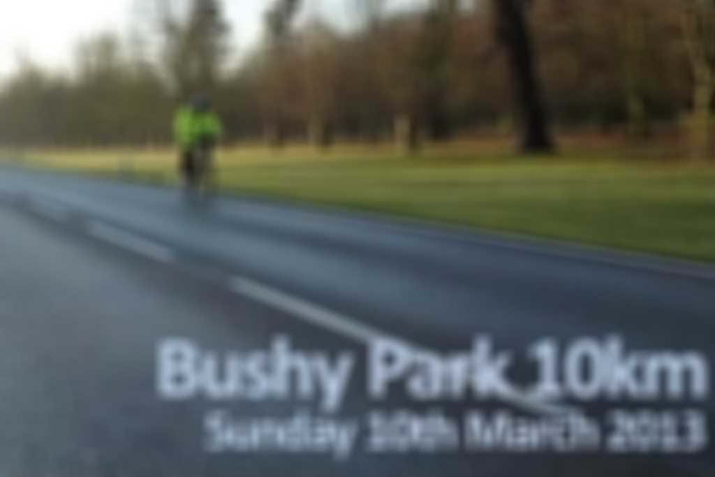 Bushy_Park_10km.jpg blurred out