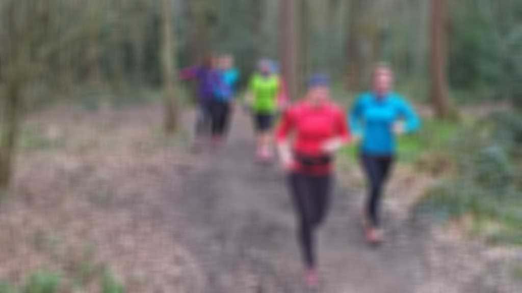 HREccelsall WoodsWP_20160322_10_20_08_Pro.jpg blurred out