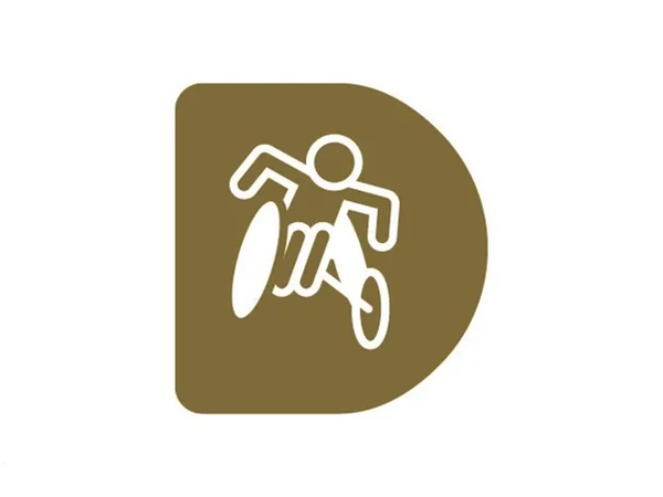 Disability Inclusion Training logo.png